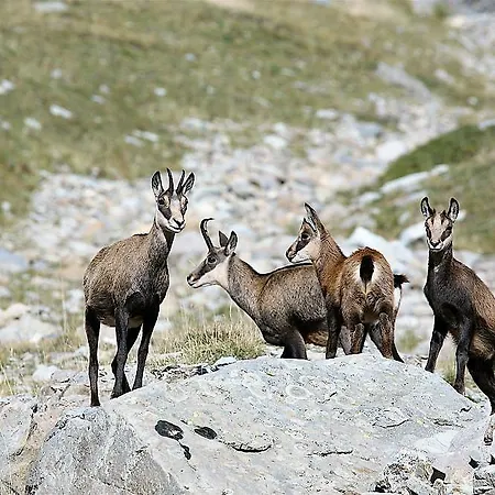 Des Gorges De Hébergement de vacances